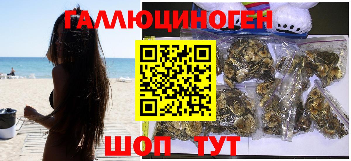 Чайковский  Галлюциногенные грибы Psilocybe  Вход с VPN 