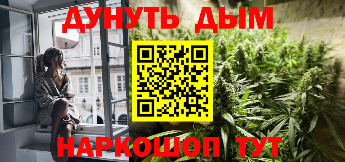 Шишки марихуана гибрид Чайковский
